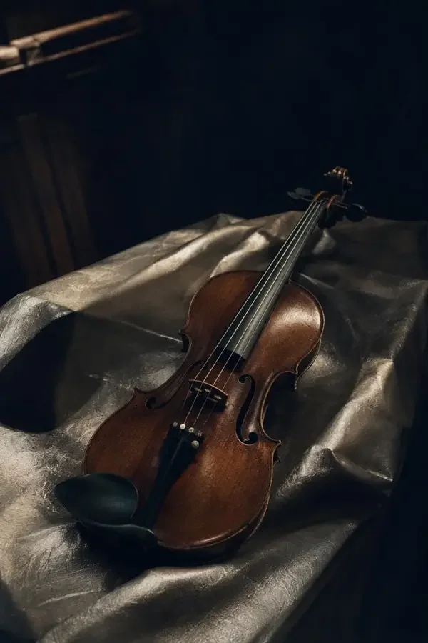 银线协奏曲（2026）影片封面海报